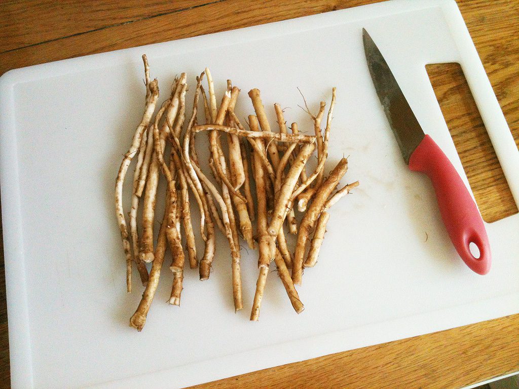 La racine de pissenlit un anti cancer naturel puissant